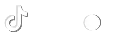 diapo TikTok LogomarkWordmark White Logo.webp